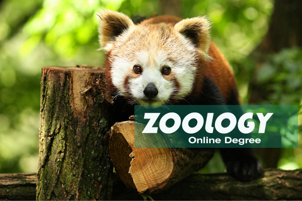 15 Cheapest online zoology degrees from $129 Tuition Per Credit